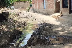 गांव में फैली गंदगी खोल रही ओडीएफ गांव की पोल